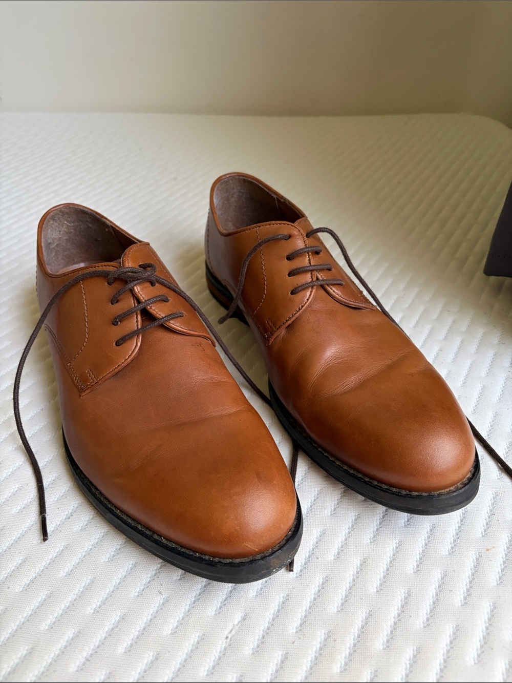 Stafford Men's Cognac Brown Leather Derby Shoes